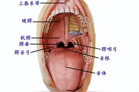 看舌相判健康，裂痕舌，齿痕舌，发黄舌，紫黑舌？中医一次说清楚图片
