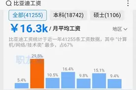 比亚迪的薪资之谜图片