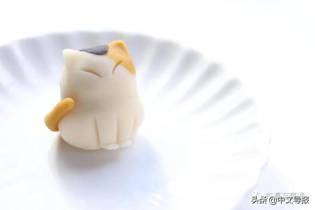 20220222：今天是百年难得一见的超级猫咪日