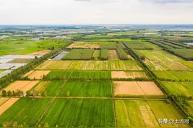 2022年高标准农田建设补贴最新消息：具体补贴多少钱一亩？图片