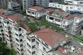 十堰有人在小区楼顶养蜜蜂，合法吗？看记者调查图片