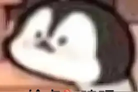 娱乐圈之男男cp磕法模板图片