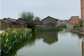 湖南一女子跟男朋友回广西过节，看到准婆婆做的菜，气得她想分手图片