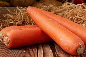 胡萝卜——小人参图片