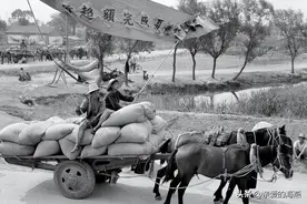 70年代“交公粮”的岁月，老一辈农民终生难忘的记忆图片