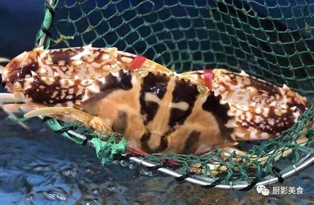 40头的花胶是几级 2025年花胶40头是什么意思?