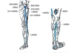 爱美人士的福音！这种微创方法，让腿美又健康，关键是价格不贵啊图片