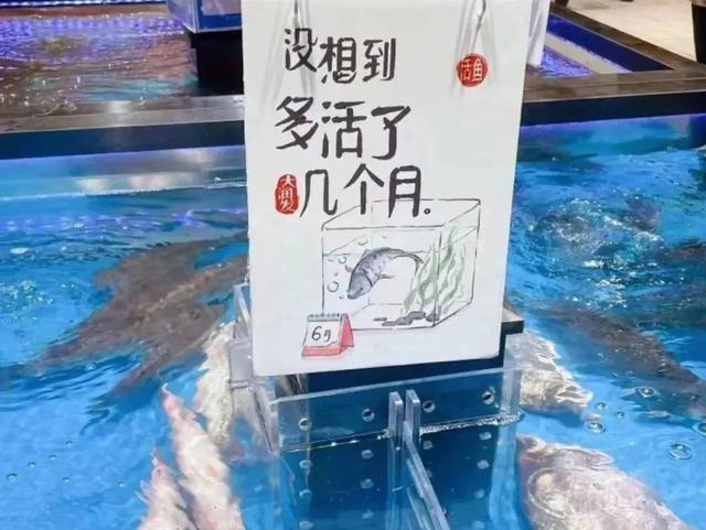 这样的营销文案,不隔离几个月是想不出来的