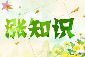 警惕身体患上血液病的“求救信号”图片
