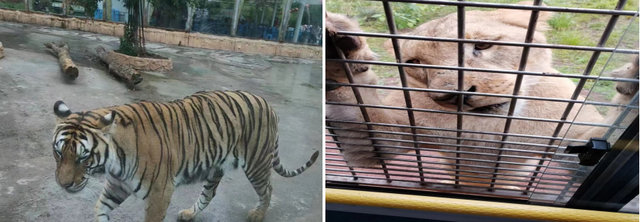 四川省民生研究会新媒体中心-官网