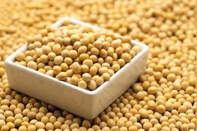 犹太人的富人思维：“卖豆子”思维，读懂它，教你变得不平凡图片