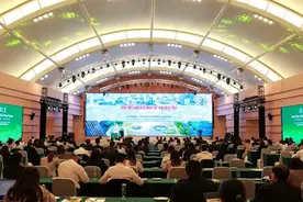 成都新津“物理城市+数字城市”双开发探索与实践图片