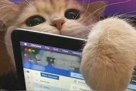 超小众の高级感朋友圈背景图图片