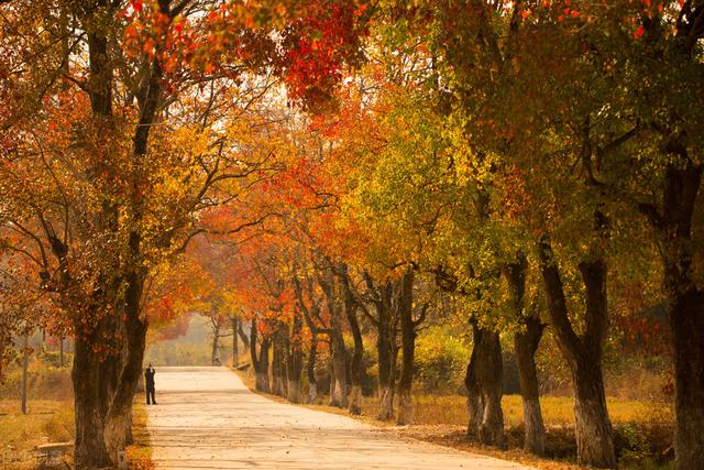 部编版高中语文教材必修上册《梦游天姥吟留别》“觉”注音答疑