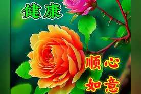 早安图片（十四）｜平安健康、快乐满满、顺心如意！图片