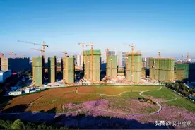 财政部为何严禁国企购地虚增收入图片