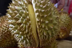 榴莲自由？期待！图片