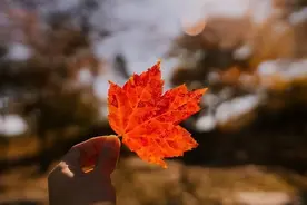 一个人这么跟你说话，多半是面善心黑，不管是谁都别深交了图片