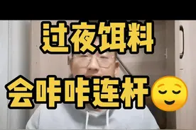 过夜饵料，用过的都说好！#钓鱼#饵料  话说整个烟台就一个病例，我还能被隔离视频封面