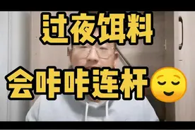 过夜饵料，用过的都说好！#钓鱼#饵料  话说整个烟台就一个病例，我还能被隔离视频封面