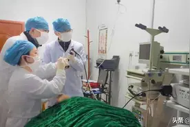 南平一家三口高热不退，以为患上甲流，谁知竟是家中鸽子惹的祸图片
