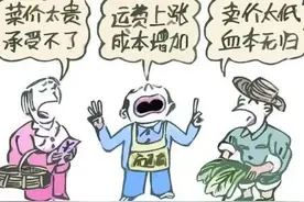 农民进城摆摊卖菜为何这么难？这是我们的第三个摊位图片