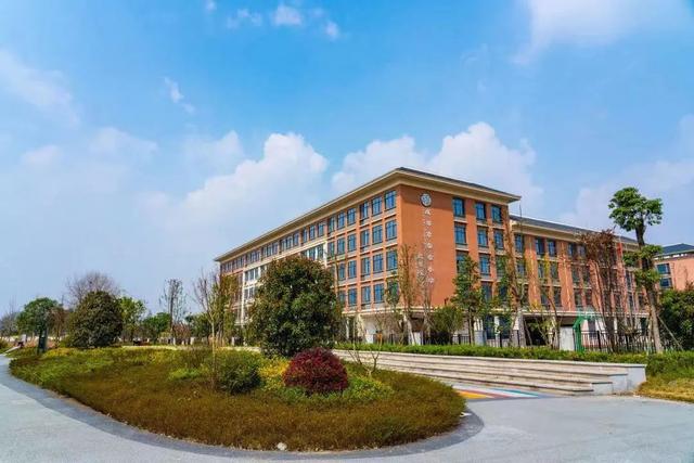 除了“五朵金花”，成都各个区还有哪些公办小学值得考察