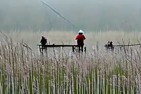 人人平等的理念，是自古有之么？图片