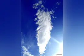 庄子「人间世」原文及译文图片