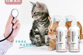 佳家宝贝之宠物消毒的注意事项图片