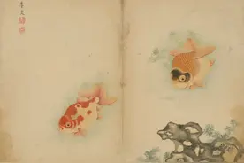 300年前的他，画出画史上最可爱的金鱼图片