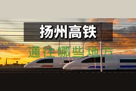 扬州高铁通往哪些地方？5横、2纵1联铁路网，有两个市花和市树图片