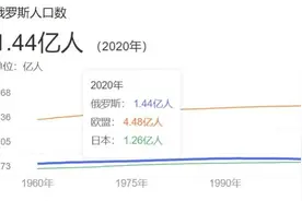 逃票游客：暴打棕熊战斗民族图片