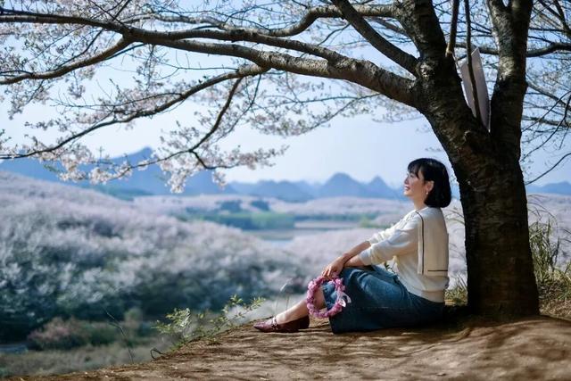 贵安樱花园9个“顶流出片地”，随手一拍即大片！