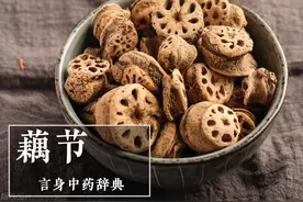 藕节（收敛止血药）图片