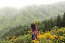 老板赚钱靠的是实力，从来没有捷径可走图片