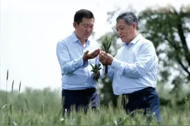点土成“金”助推农业高质量发展——河北巨鹿县泰然农业科技有限公司发展富硒产业助民增收纪实图片