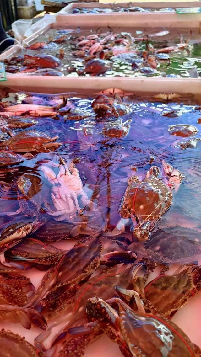 目测要火！烟台这座小城最近好看得离谱