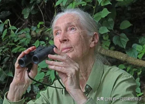 幽威野人,未知生物幽威的传说,飘荡在澳大利亚的无尽荒野 - 冷思维