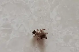 我是如何治愈新冠后遗症的图片