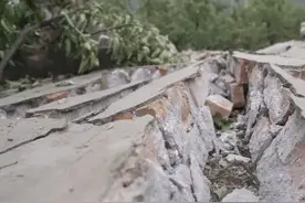 云南动物集体“暴动”，难道要地震吗？专家称是暴雨所致，可信吗图片