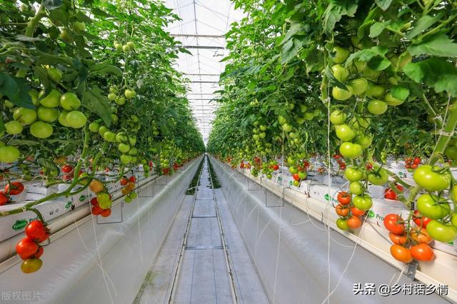 这三个配方在农业种植上，已经用了五六年，效果确实挺好的