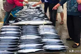 冬季，碰到此鱼别手软，买上10斤去刺剁细，放冰箱冻起来，特省事图片