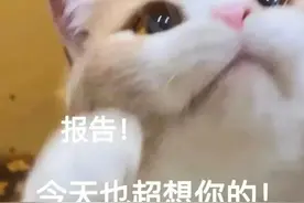 可爱表情包 | 今天也超想你的图片