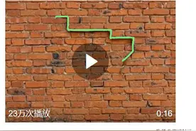 河南一蛇爬墙走，高层惊现“蛇敲窗”！高层建筑也防不住蛇了？图片