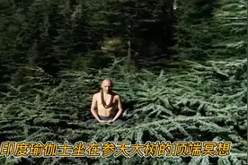 印度瑜伽士坐在50米高的大树顶端冥想，电视台全程直播图片
