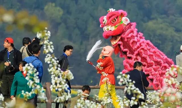 四川省民生研究会新媒体中心-官网