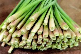 大量上市，蒜苔很多人只吃茎，其实“尾巴”才是宝，不懂吃真可惜图片