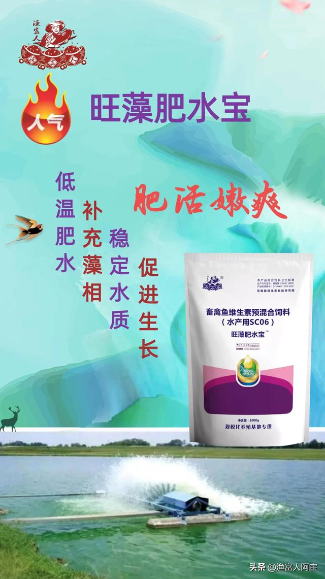 肥水肥不好，90%是因为这个原因