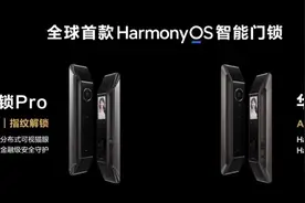 市场杂乱无序，华为发布首款鸿蒙智能门锁，推动标准规范化发展图片